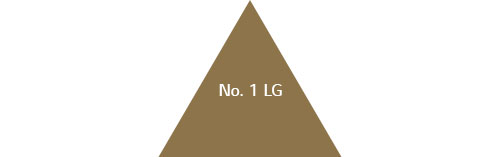 No. 1 LG