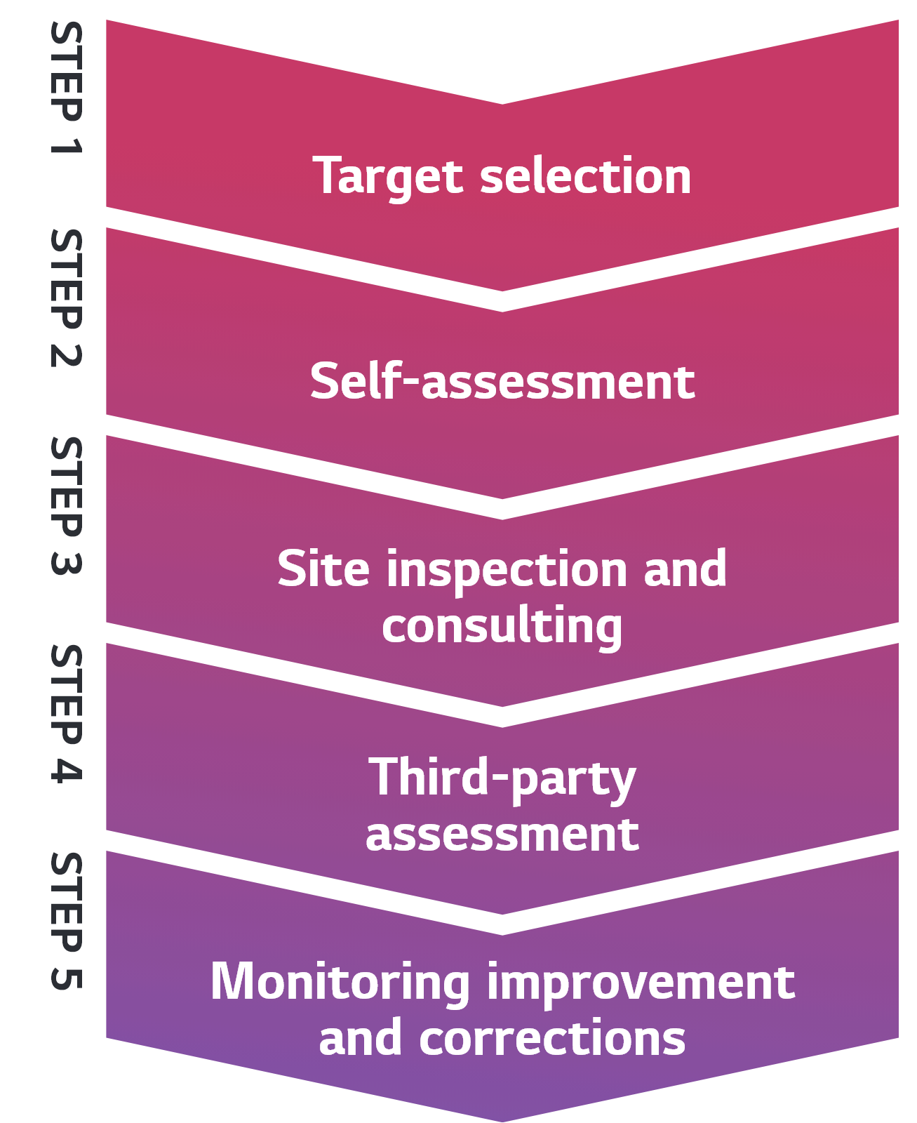 (STEP 1)Target selection → (STEP 2)Self-assessment → (STEP 3)Site inspection and consulting → (STEP 4)Third-party assessment → (STEP 5)Monitoring improvement and corrections