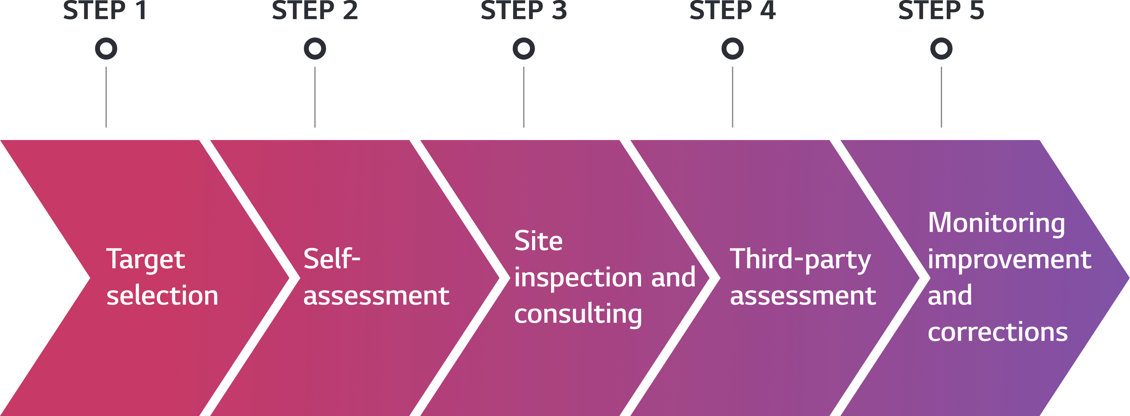 (STEP 1)Target selection → (STEP 2)Self-assessment → (STEP 3)Site inspection and consulting → (STEP 4)Third-party assessment → (STEP 5)Monitoring improvement and corrections